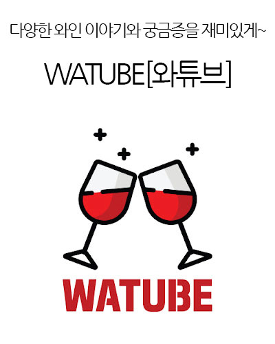 WATUBE[와튜브]-Wine Contents