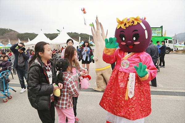 충북 옥천 옥수수·감자 축제