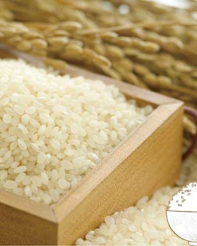우리는 언제부터 쌀밥을 먹었을까? ─ 대한민국 쌀밥의 역사와 오해와 진실