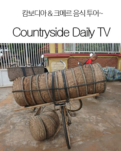 [Singapore] Countryside Daily TV