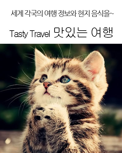 [Korea] Tasty Travel 맛있는 여행
