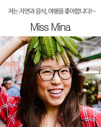 [USA] Miss Mina
