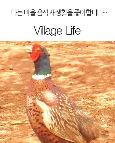 [USA] Village Life