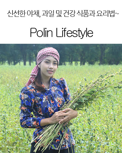 [USA] Polin Lifestyle