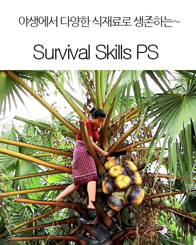 [Singapore] Survival Skills PS
