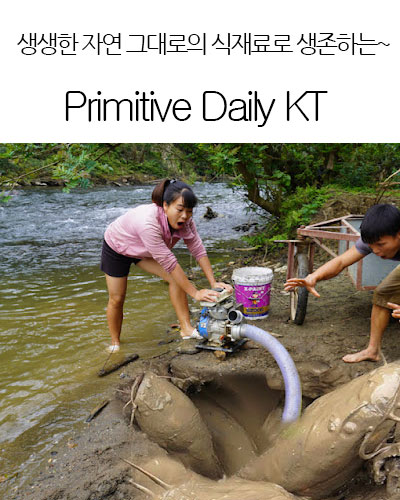 [USA] Primitive Daily KT