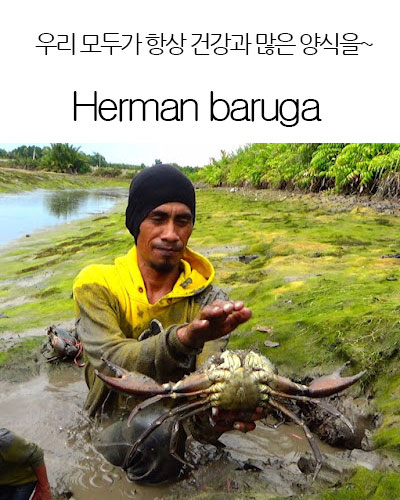 [Indonesia] Herman baruga