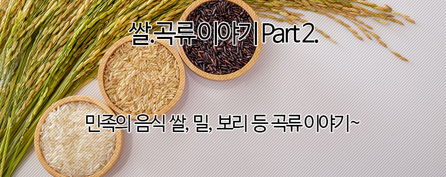 쌀.곡류 이야기 Ⅱ.