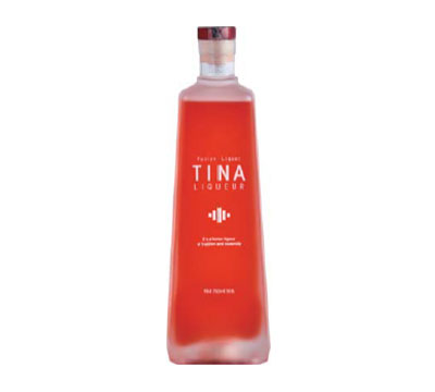 티나(TINA)