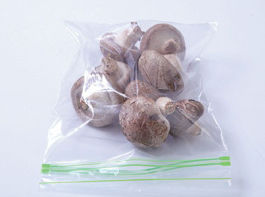 표고버섯 보관방법