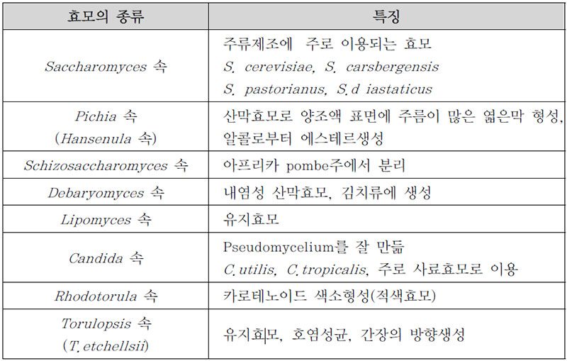 효모의 종류와 특징