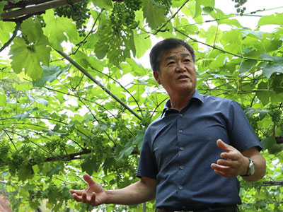 그린영농조합법인 양조장 김지원 대표