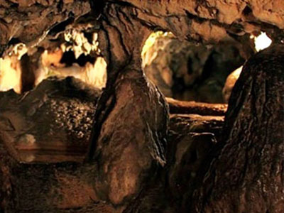 대강양조장 주변관광지 고수동굴