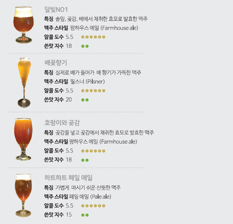 강릉 브루어리 Gangneung Brewery 맥주 소개
