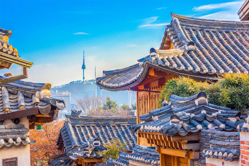 서울의 미식 문화와 더불어 성장하는 미쉐린 가이드