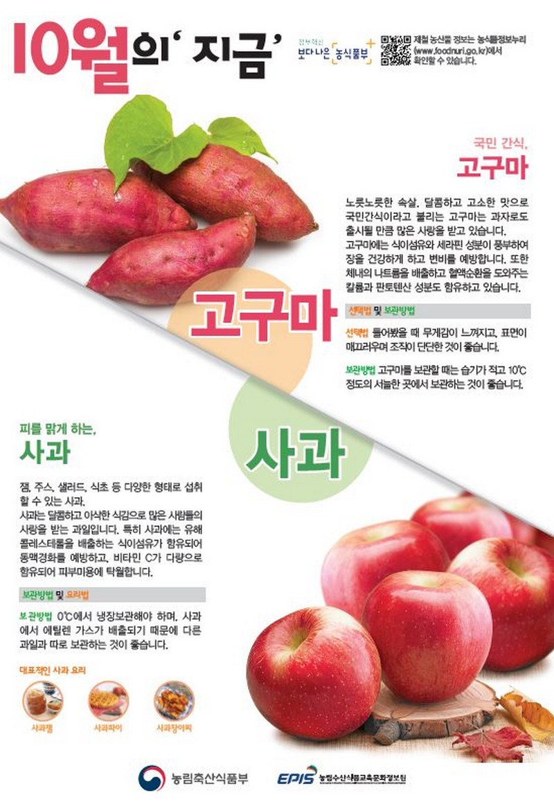 [10월] 고구마, 사과 사진 1번