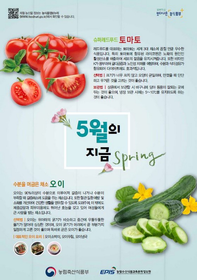 [5월] 토마토, 오이 사진 1번