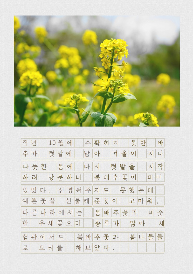 [텃밭의 하루] 봄꽃나물튀김국수 사진 2번