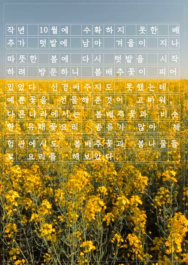 [텃밭의 하루] 봄꽃나물튀김국수 사진 3번