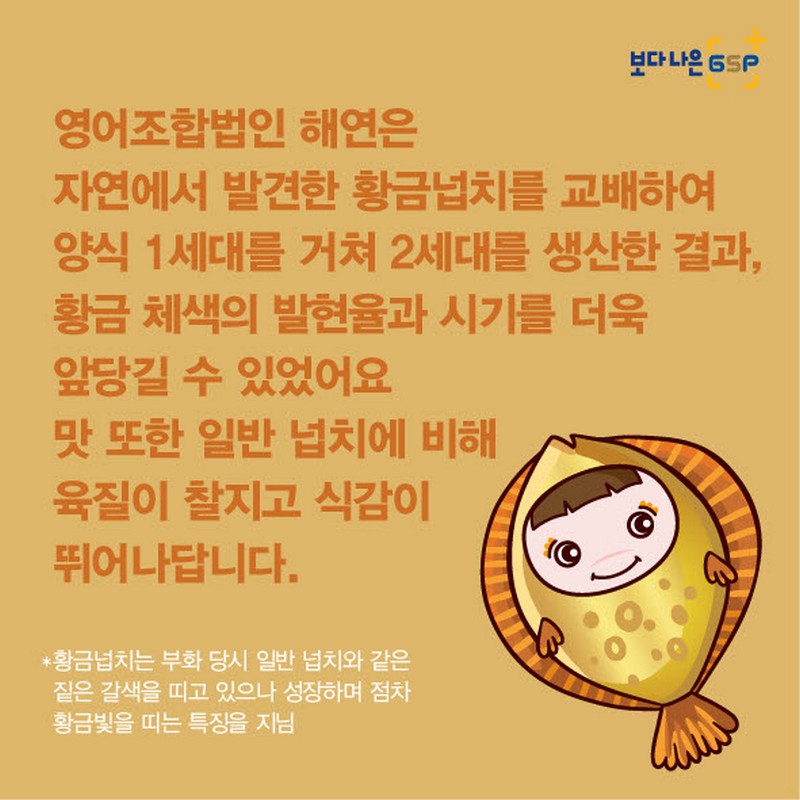 친절한 종자씨와 함께하는 GSP 품종뉴스 - 황금넙치편 사진 5번