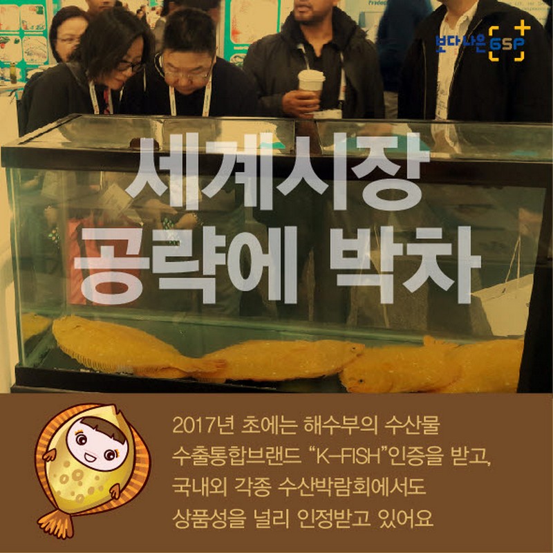 친절한 종자씨와 함께하는 GSP 품종뉴스 - 황금넙치편 사진 6번