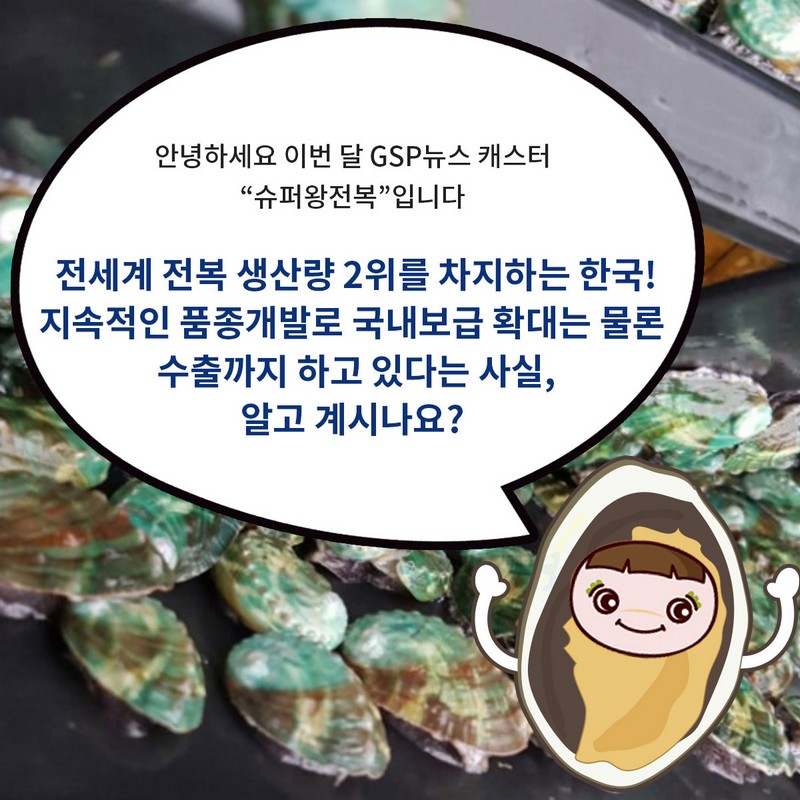 GSP 품종뉴스 슈퍼왕전복 사진 2번