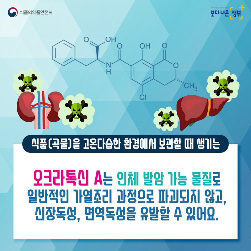 곰팡이독소 ‘오크라톡신A’바로알기 사진 2번