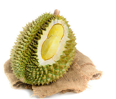 두리안 Durian