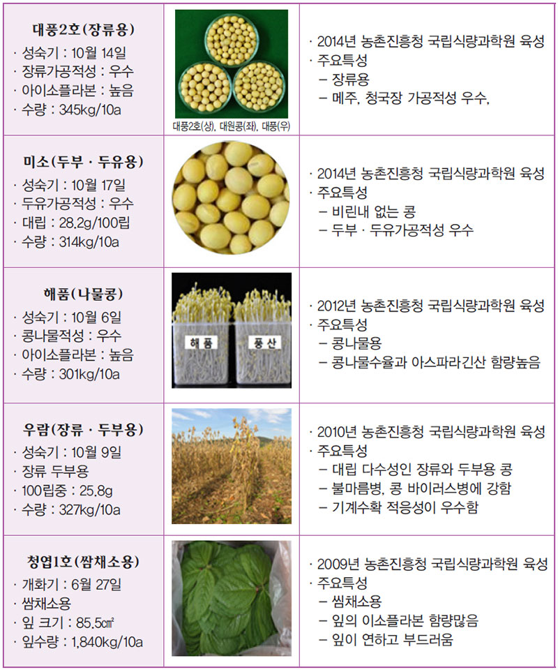 콩 육성품종 주요특성