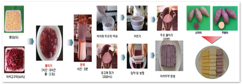 컬러고구마 이용 식품 및 산업소재