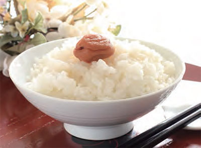 일본 발효 음식 우메보시