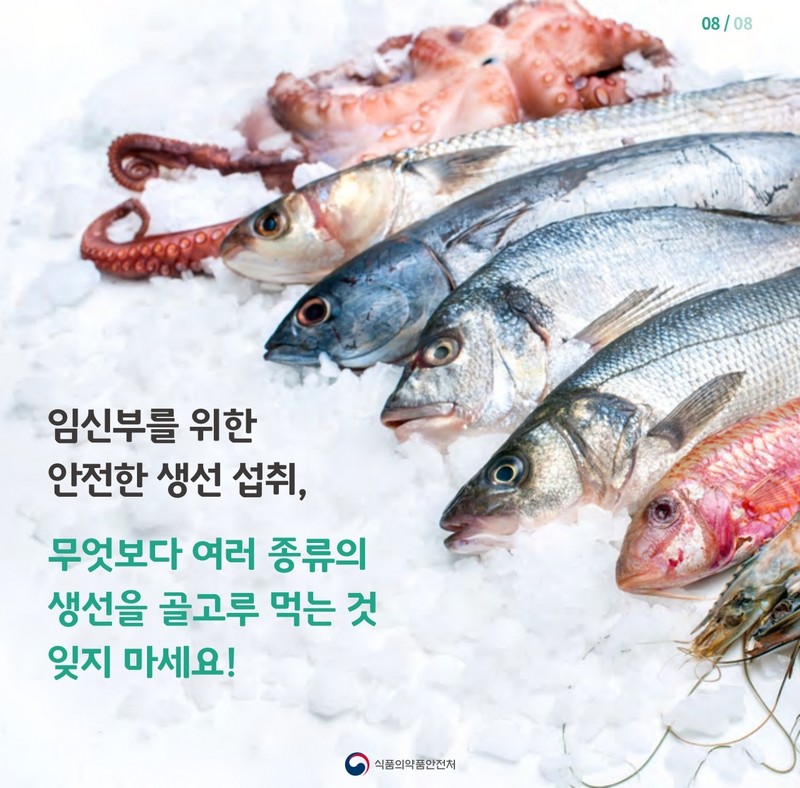 임신부를 위한 안전한 생선 섭취 방법 사진 9번