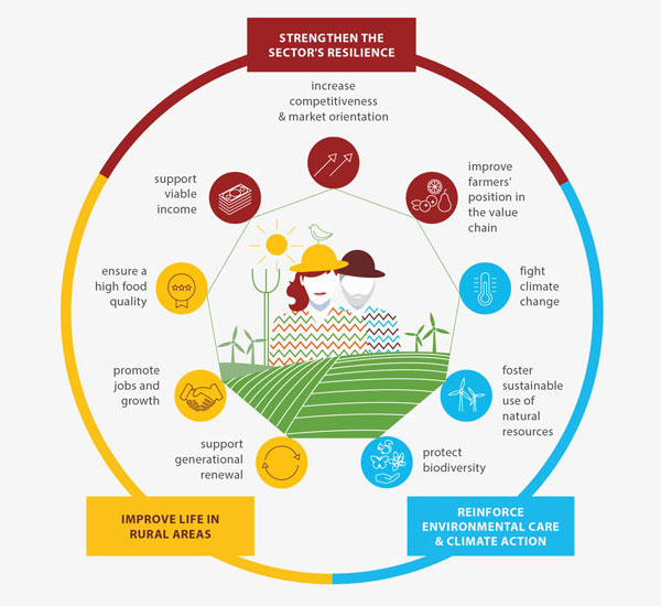 Common Agricultural Policy, CAP