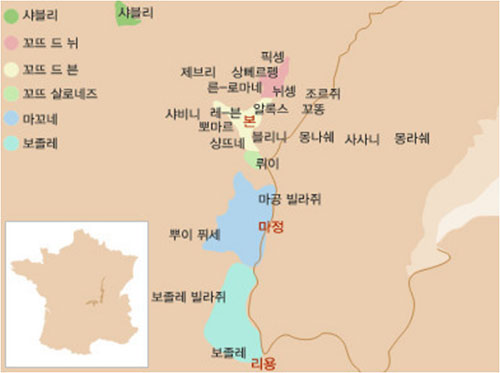 부르고뉴 포도원