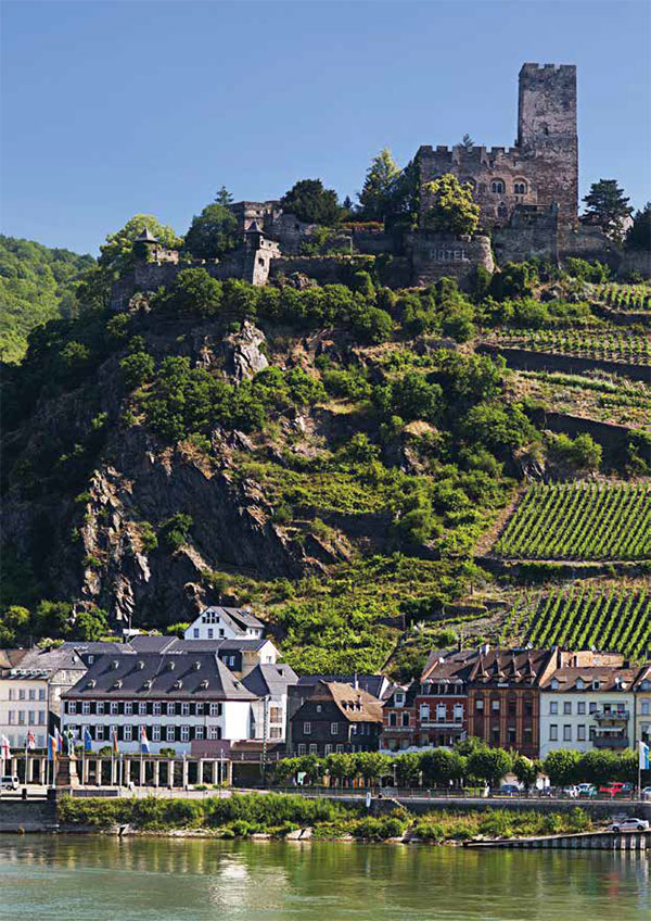 독일 와이너리 포도원 Mittelrhein(미텔라인) 카웁의 “구텐펠스 성”의 모습