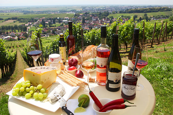 독일 와이너리 포도원 Wines from the Pfalz