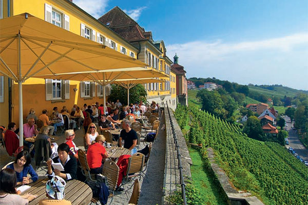 독일 와이너리 생산자에게 직접 와인구매
