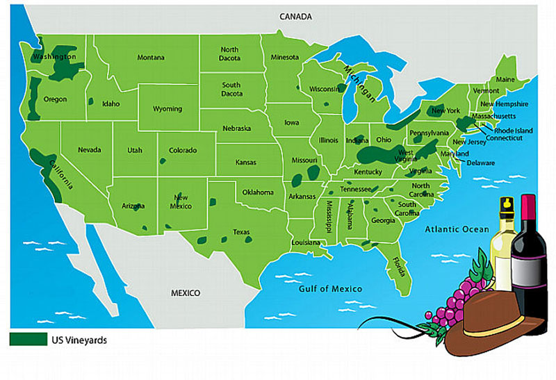 World Food and Wine Wine in The United States of America